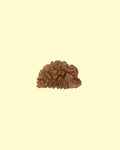 1 Mukhi 2