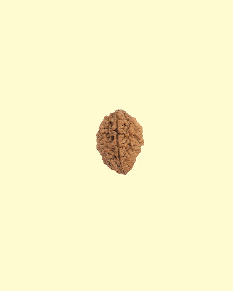 2 Mukhi 2