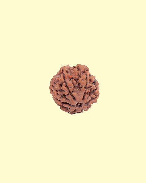 4 Mukhi