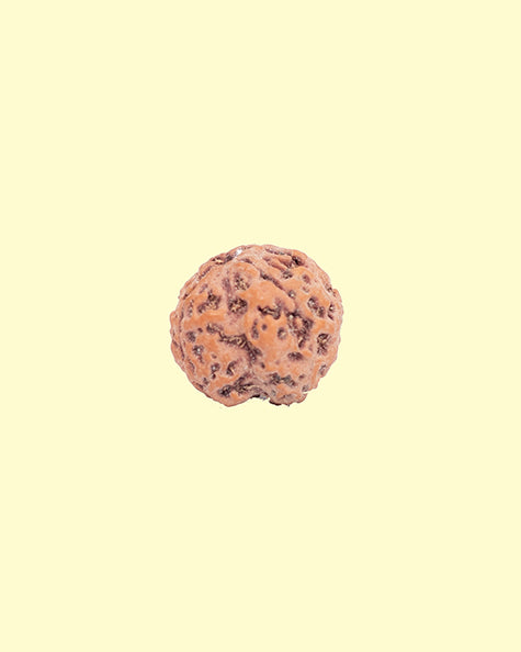 5 Mukhi