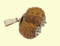 Rudraksha Yantra Combo Set