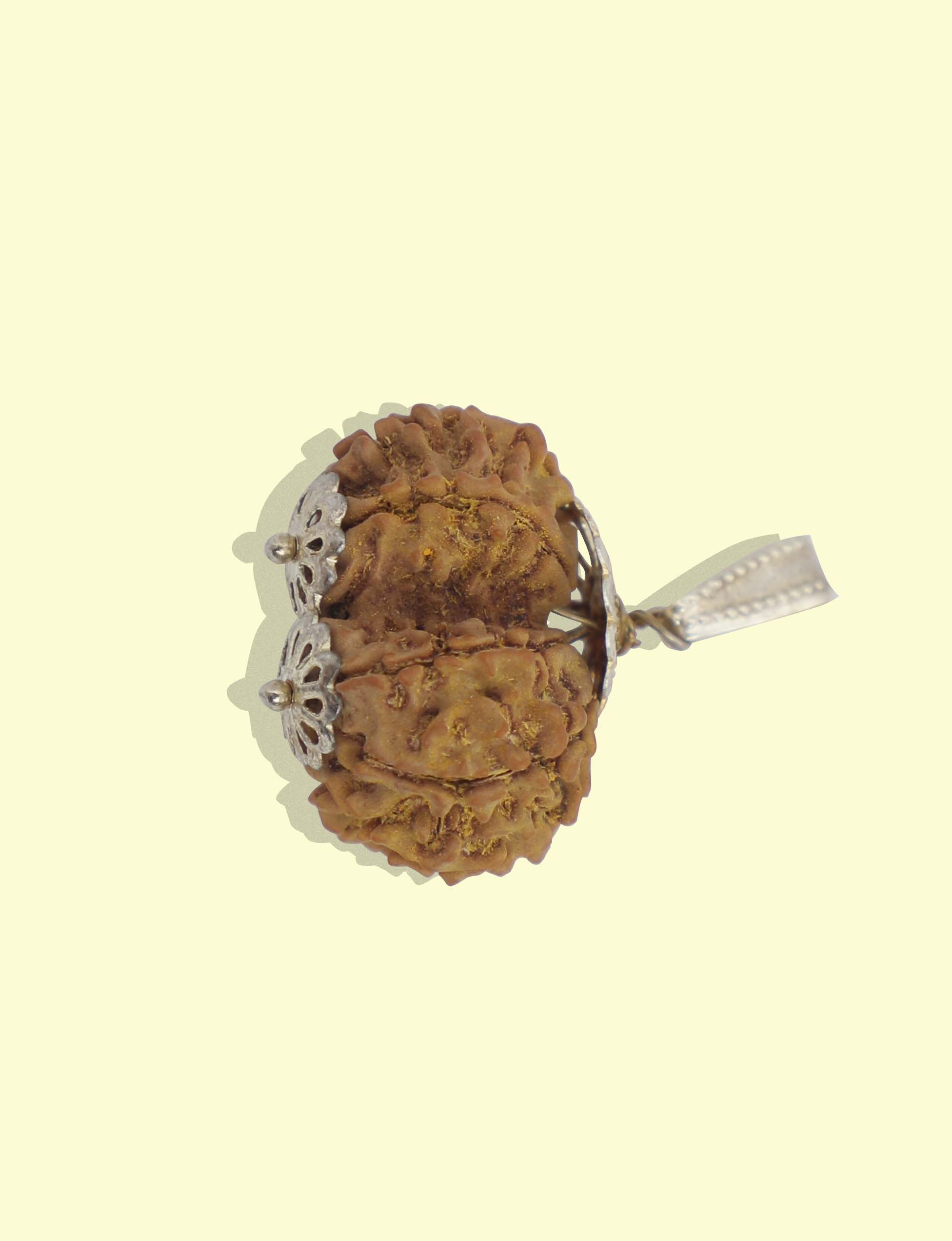 Rudraksha Pendant with Metal Cap