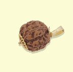 Rudraksha Pendant with Metal Cap