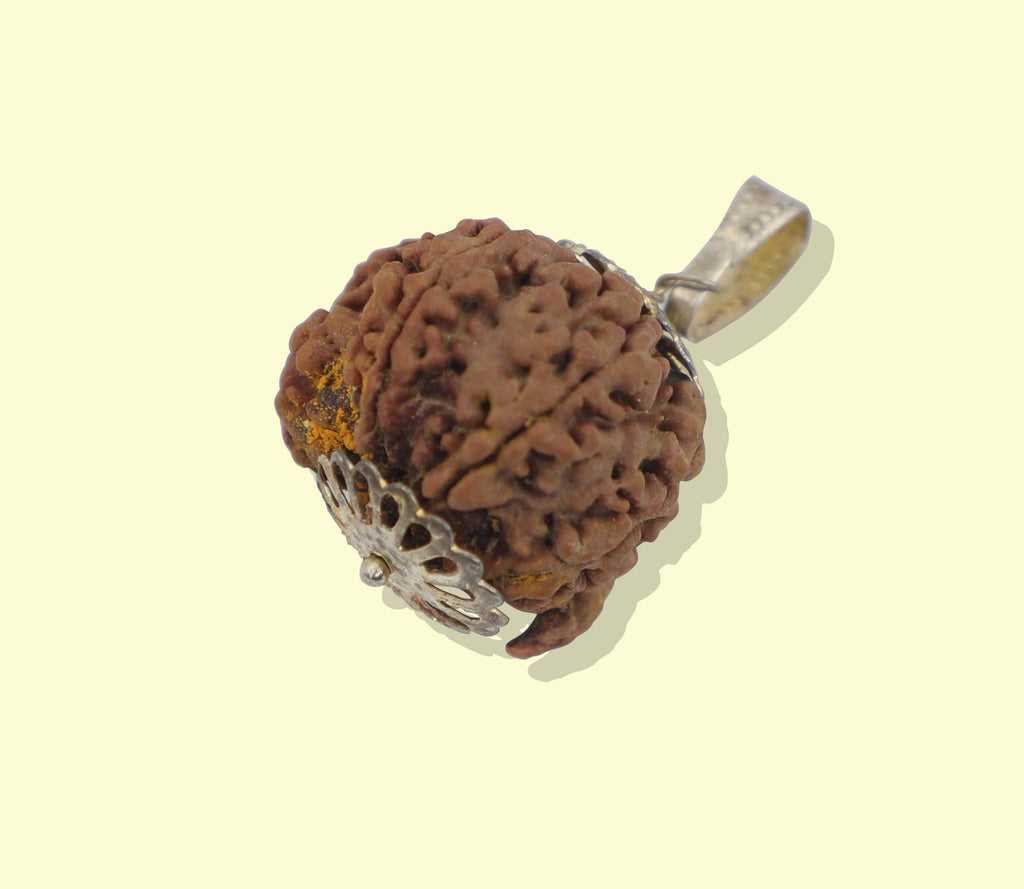 Rudraksha Pendant with Metal Cap
