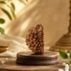 1 Mukhi Rudhraksha