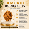 10 Mukhi 10 Mukhi Rudhraksh
