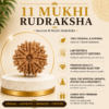 11 Mukhi 11 Mukhi Rudhraksh