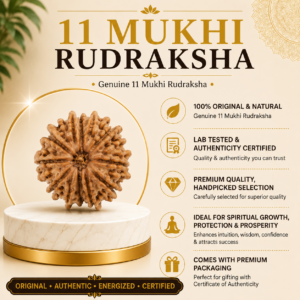 11 Mukhi 11 Mukhi Rudhraksh