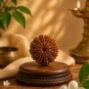11 Mukhi Rudraksha 11 Mukhi Rudhraksh