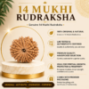 14 Mukhi 14 Mukhi Rudhraksh