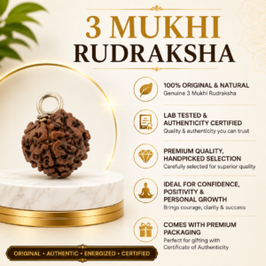 3 Mukhi Rudhraksh