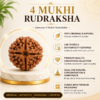 4 Mukhi Rudhraksh