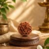 4 Mukhi Rudhraksh
