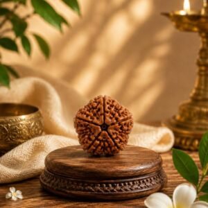 5 Mukhi Rudhraksh