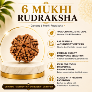 6 Mukhi 6 Mukhi Rudhraksh