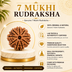 7 Mukhi Rudhraksh