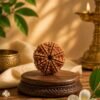 8 Mukhi Rudhraksh