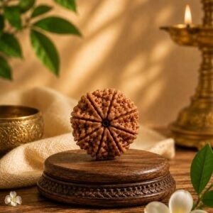 8 Mukhi Rudhraksh