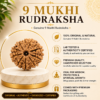 9 Mukhi 9 Mukhi Rudhraksh