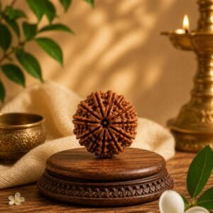9 Mukhi Rudhraksh