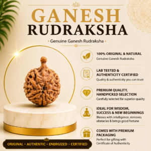Ganesh Rudraksha