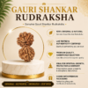 Gauri Shankar Rudraksh Pendet
