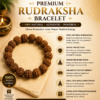 Rudraksh braclet