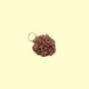 3 Mukhi Rudhraksh