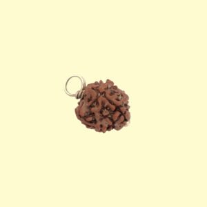 3 Mukhi Rudhraksh