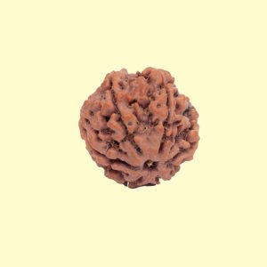 4 Mukhi Rudhraksh